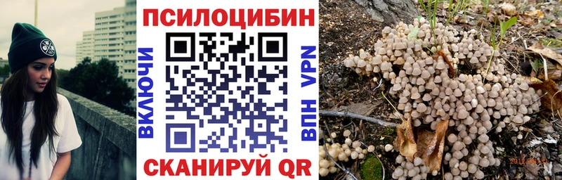 Псилоцибиновые грибы Psilocybine cubensis  сколько стоит  Усть-Лабинск 